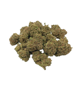 Small Buds Greenhouse Candy Kush