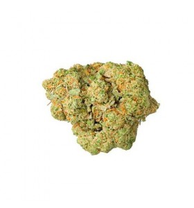 Amnesia Haze CBD