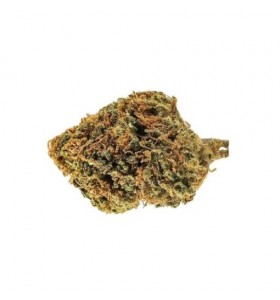Orange Bud CBD