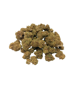 Small Buds Premium Bubble Gum 